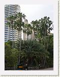 Botanischer Garten3.JPG